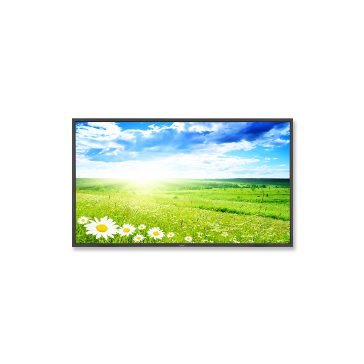 TFT 46" NEC LCD X461HB S-PVA