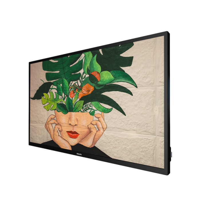 32" Phillips D-Line 32BDL4511D/00