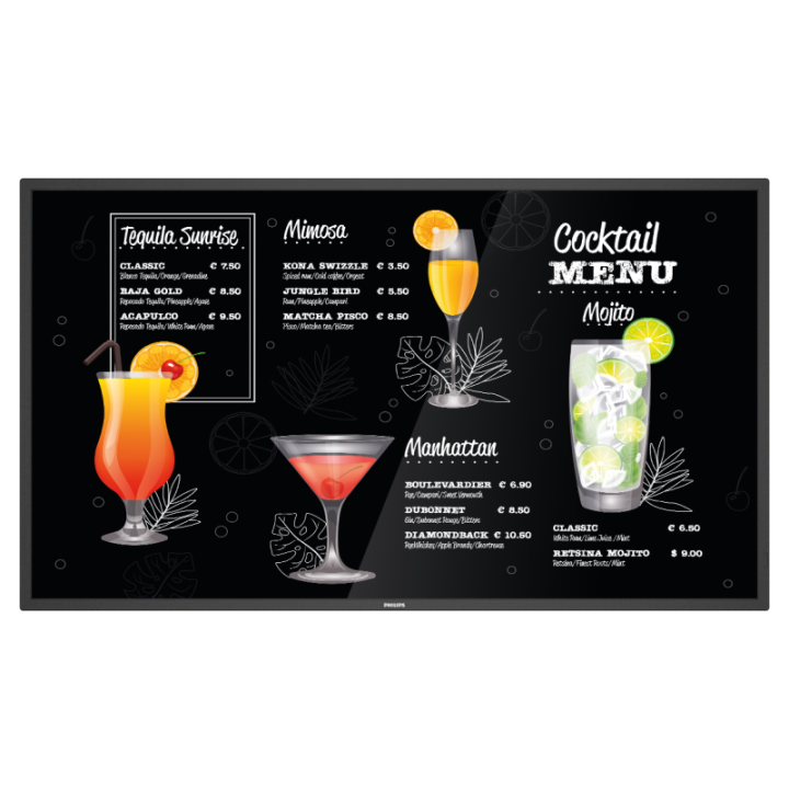 43" Philips P-Line 43BDL3117P/00