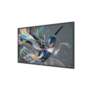 43" Philips Q-Line 43BDL3511Q/00