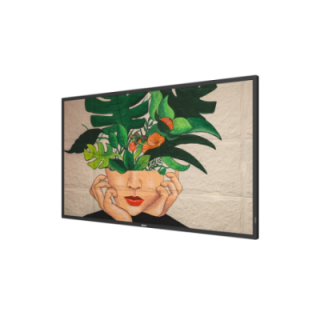 43" Phillips D-Line 43BDL4511D/00