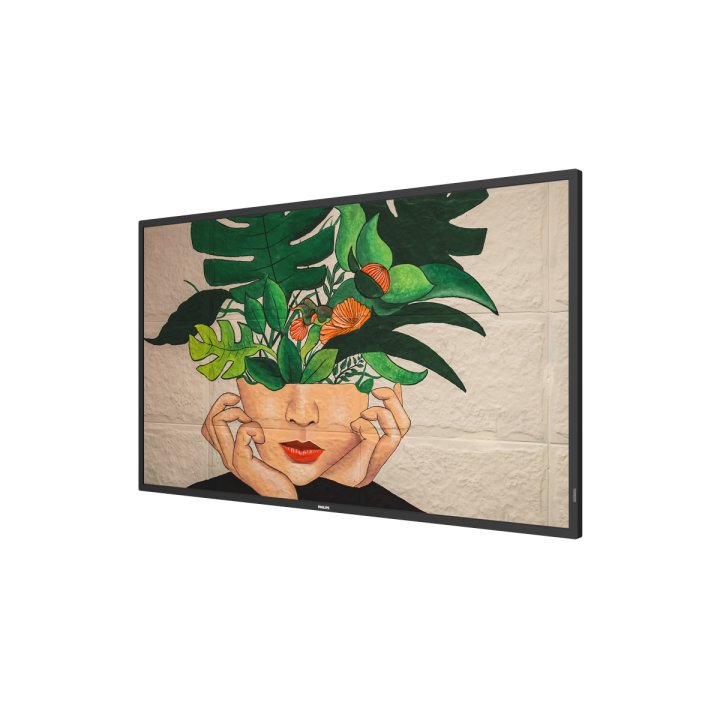 43" Phillips D-Line 43BDL4511D/00