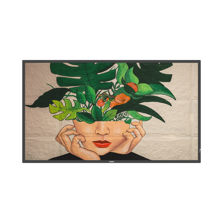 43" Phillips D-Line 43BDL4511D/00