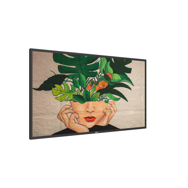 43" Phillips D-Line 43BDL4511D/00