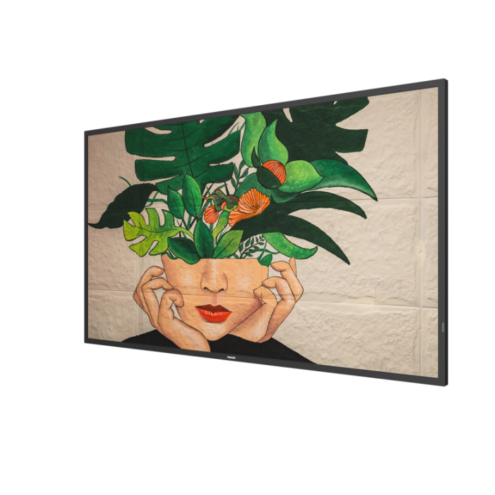 50" Phillips D-Line 50BDL4511D/00