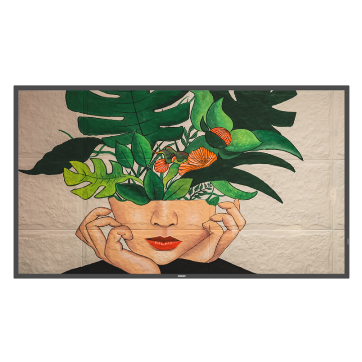 50" Phillips D-Line 50BDL4511D/00