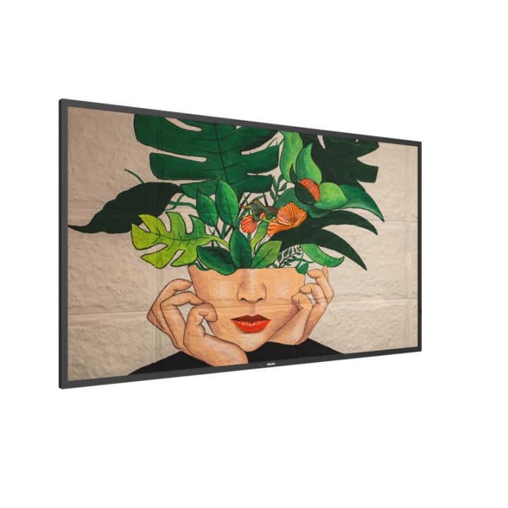 50" Phillips D-Line 50BDL4511D/00