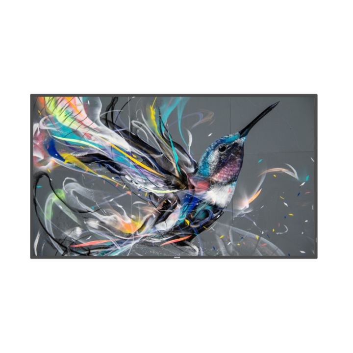 55" Philips Q-Line 55BDL3511Q/00