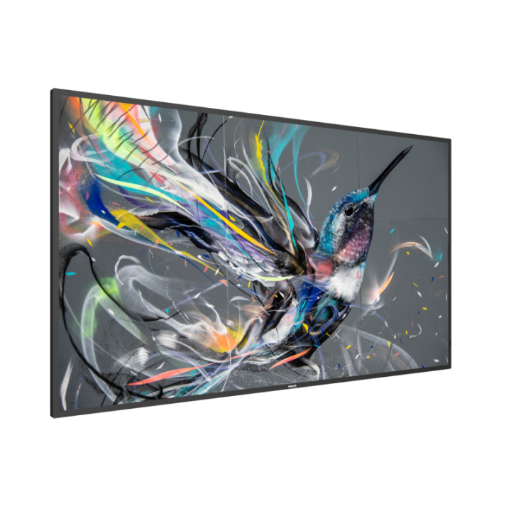 55" Philips Q-Line 55BDL3511Q/00