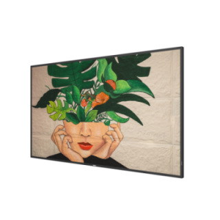 55" Phillips D-Line 55BDL4511D/00