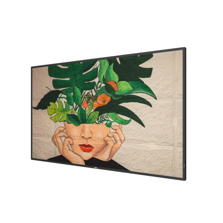 55" Phillips D-Line 55BDL4511D/00