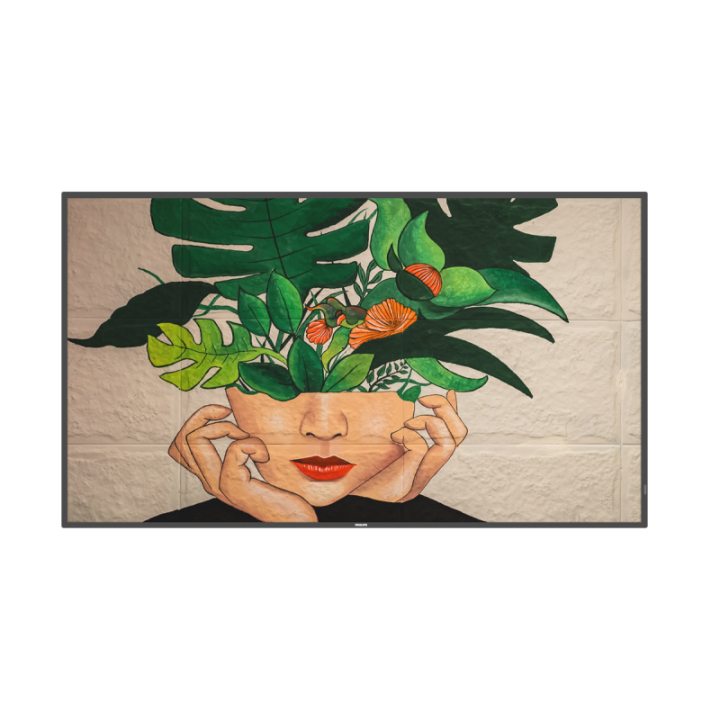 55" Phillips D-Line 55BDL4511D/00