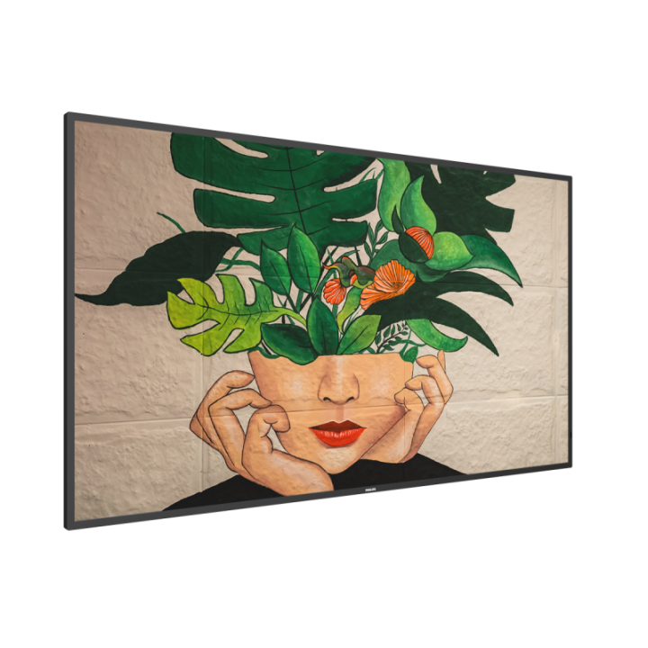 55" Phillips D-Line 55BDL4511D/00