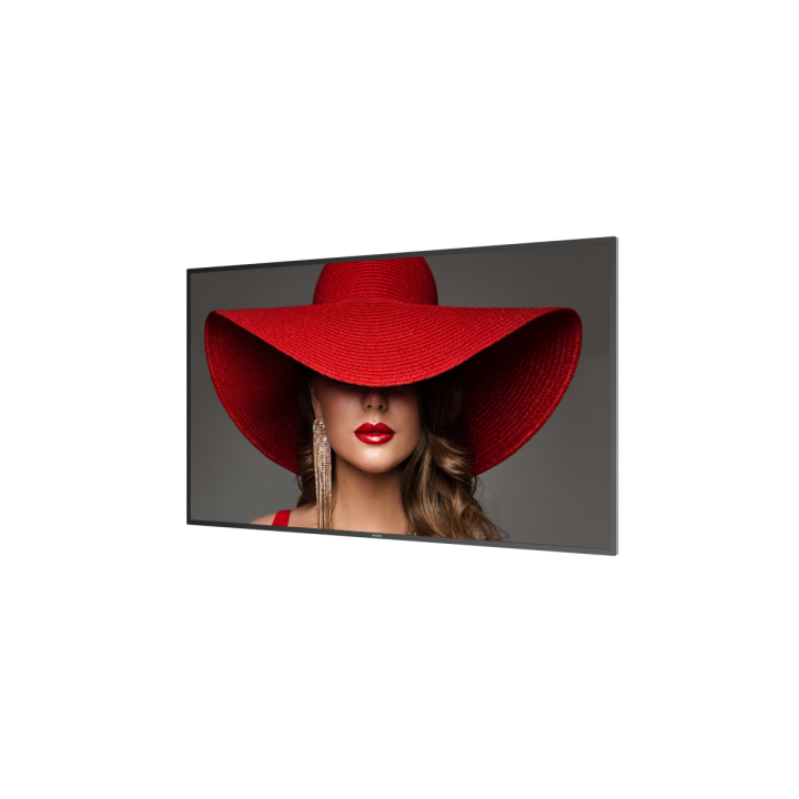 55" Philips D-Line 55BDL4650D/00