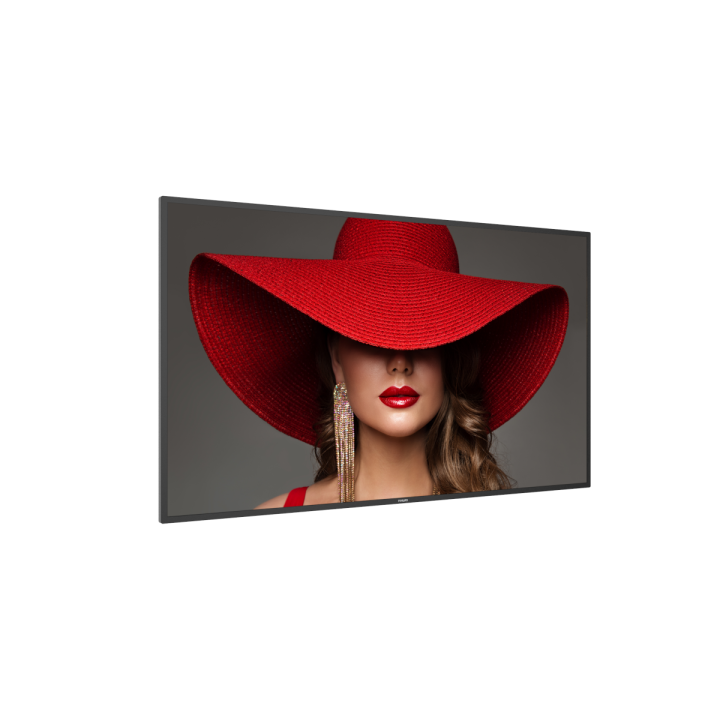 55" Philips D-Line 55BDL4650D/00