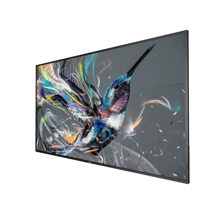 65" Philips Q-Line 65BDL3511Q/00