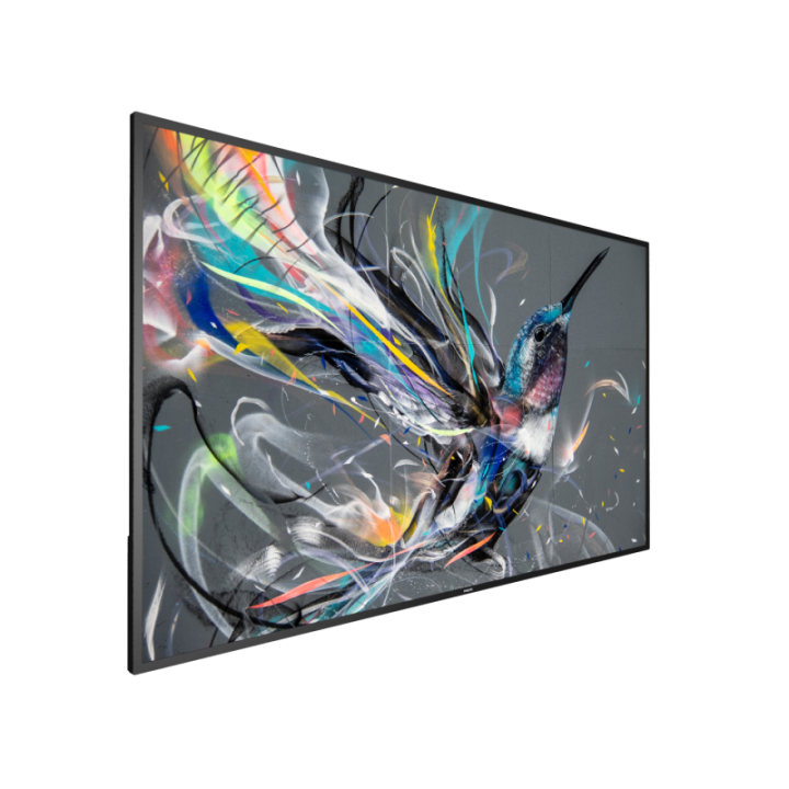 65" Philips Q-Line 65BDL3511Q/00