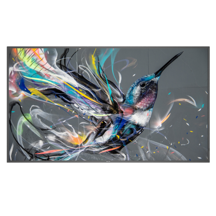 65" Philips Q-Line 65BDL3511Q/00