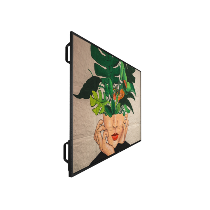 65" Phillips D-Line 65BDL4511D/00