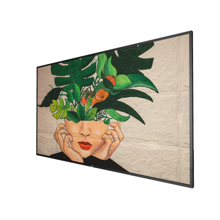 65" Phillips D-Line 65BDL4511D/00