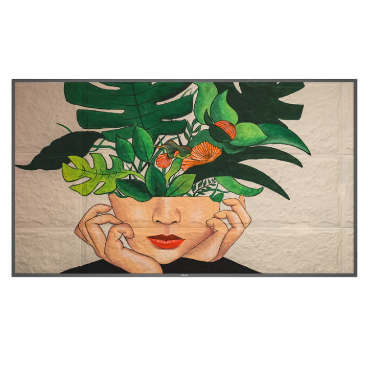 65" Phillips D-Line 65BDL4511D/00