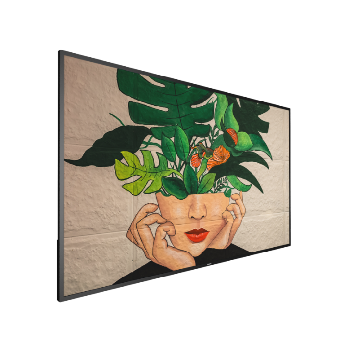 65" Phillips D-Line 65BDL4511D/00