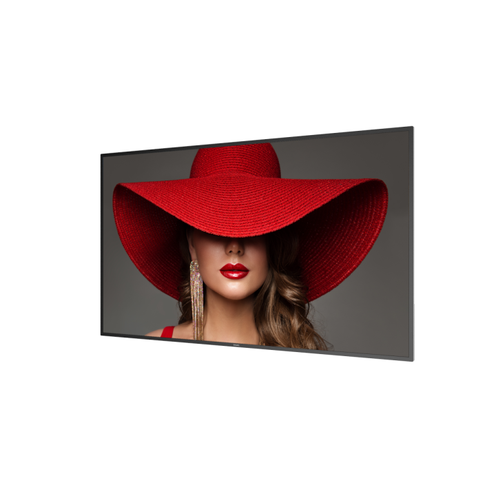 65" Philips D-Line 65BDL4650D/00