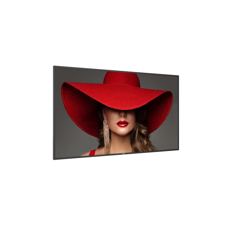 65" Philips D-Line 65BDL4650D/00