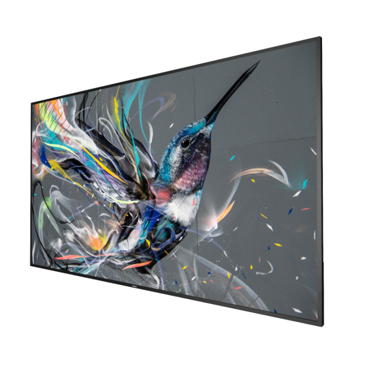 75" Philips Q-Line 75BDL3511Q/00