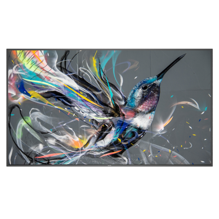 75" Philips Q-Line 75BDL3511Q/00