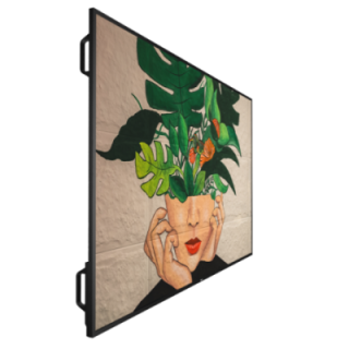 75" Phillips D-Line 75BDL4511D/00