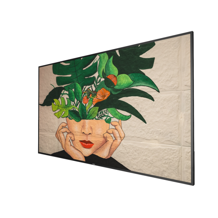 75" Phillips D-Line 75BDL4511D/00