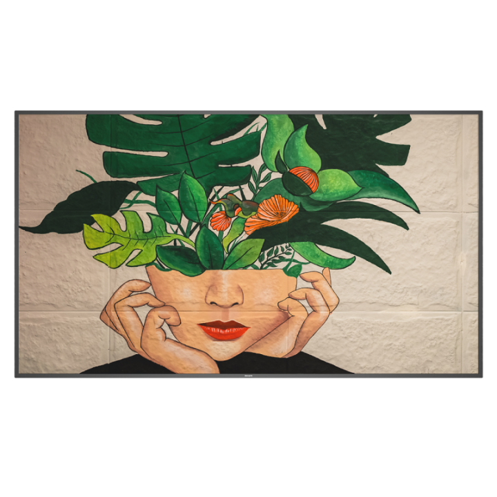 75" Phillips D-Line 75BDL4511D/00