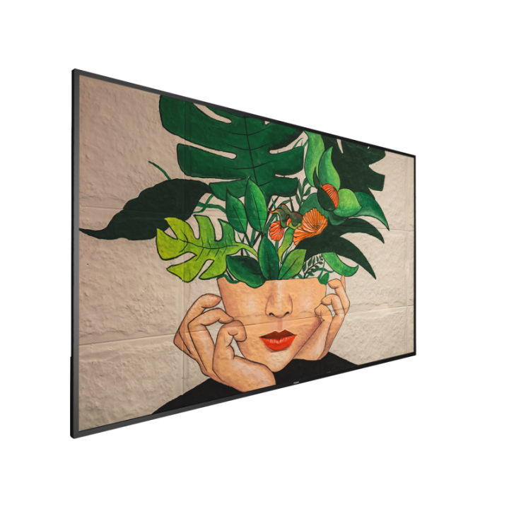 75" Phillips D-Line 75BDL4511D/00