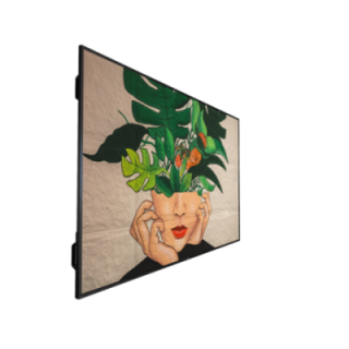 86" Phillips D-Line 86BDL4511D/00