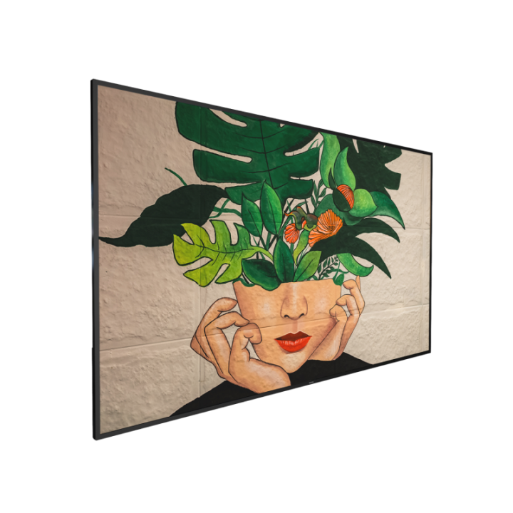 86" Phillips D-Line 86BDL4511D/00