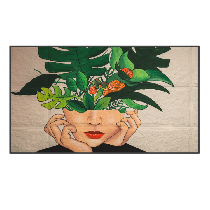 86" Phillips D-Line 86BDL4511D/00