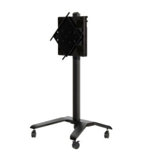 Flat Screen Trolley with Height Adjustment and Fli