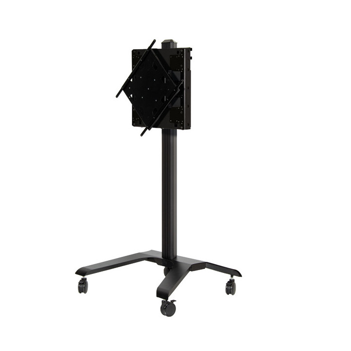 Flat Screen Trolley with Height Adjustment and Fli