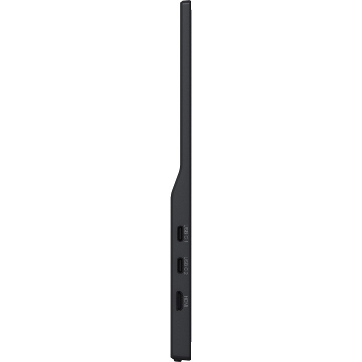 Iiyama 15,6" Prolite P1671HSC-B1