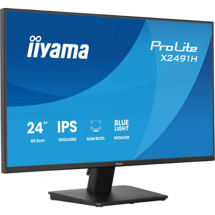 Iiyama 24" Prolite X2491H-B1