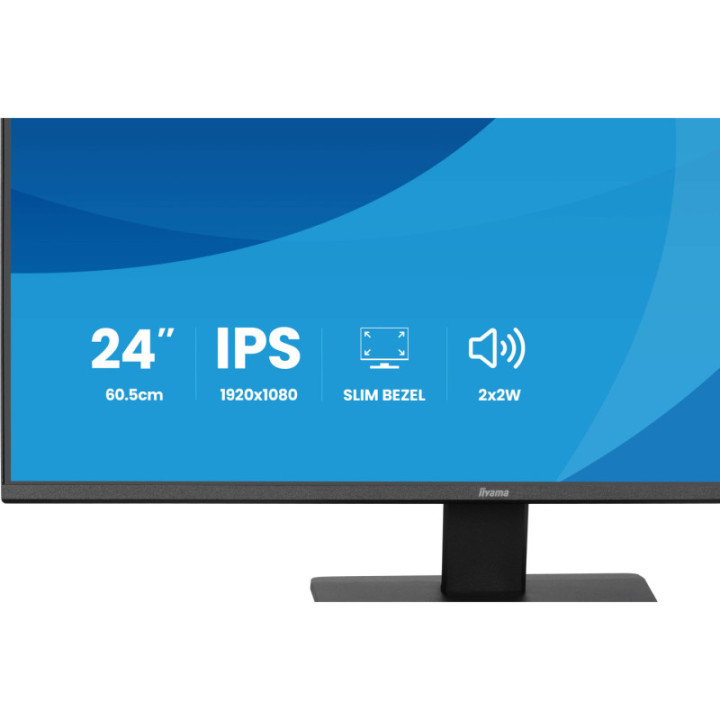Iiyama 24" Prolite X2491HS-B1