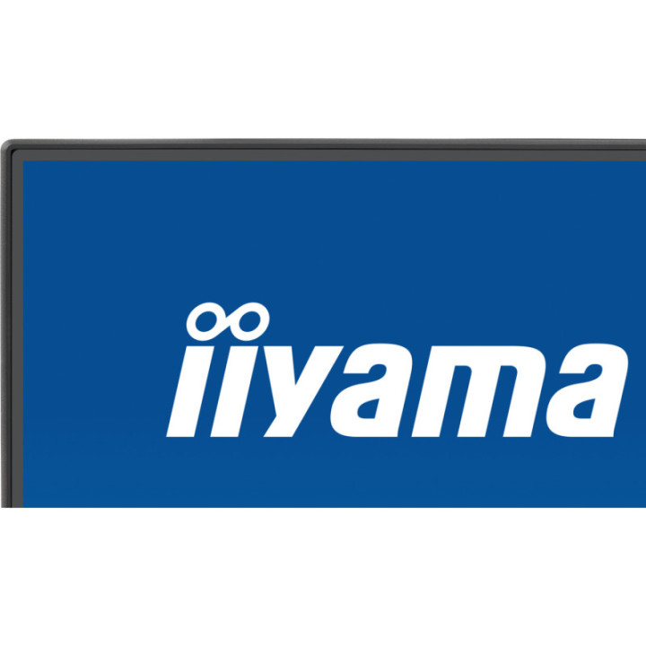 Iiyama 24" Prolite X2492HSU-B1