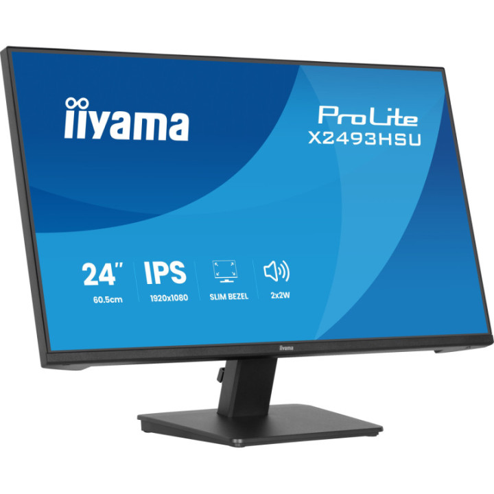 Iiyama 24" Prolite X2493HSU-B1