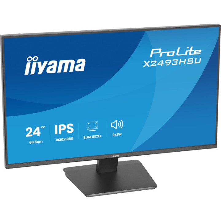Iiyama 24" Prolite X2493HSU-B1