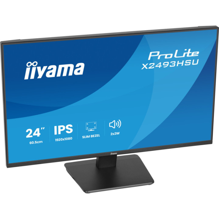 Iiyama 24" Prolite X2493HSU-B1