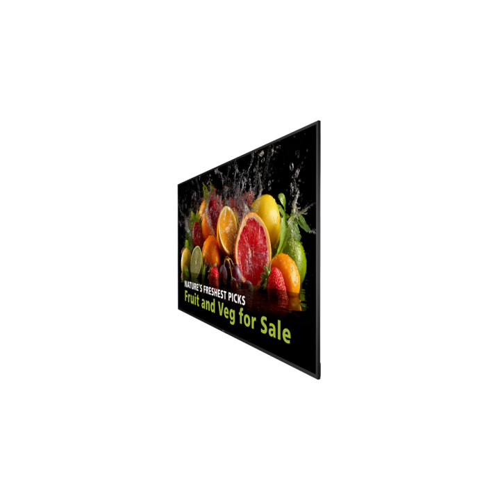 98" Philips D-Line 98BDL5050D/00