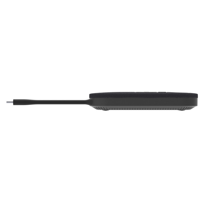 iiShare USB-C (DP-Alt) dongle WP-D003C