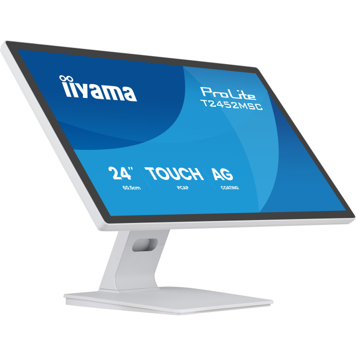 Iiyama Prolite T2452MSC-W2AG