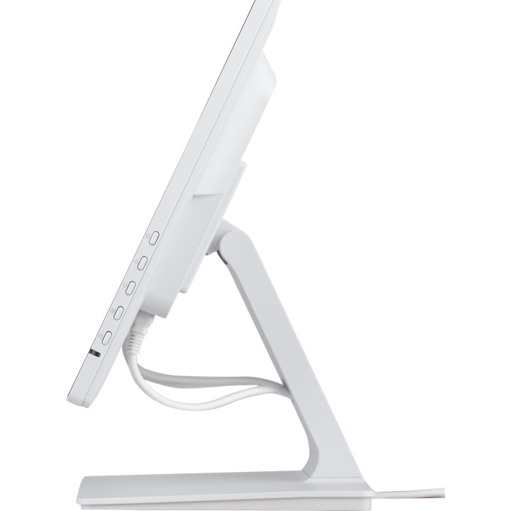 Iiyama Prolite T2452MSC-W2AG